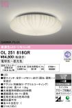 OL251818GR