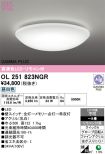 OL251823NGR