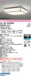 OL251837BRE
