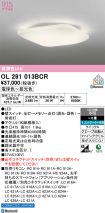 OL291013BCR