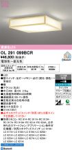 OL291099BCR