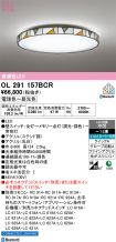 OL291157BCR