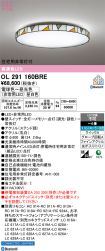 OL291160BRE