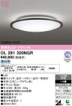 OL291320NGR