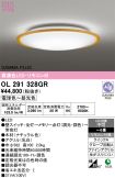 OL291328GR