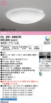 OL291496CR
