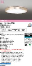 OL291503BCR