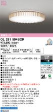 OL291504BCR