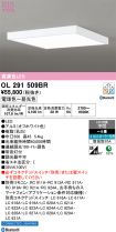OL291509BR