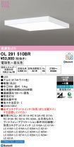 OL291510BR