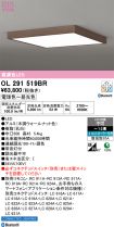 OL291519BR