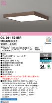 OL291521BR