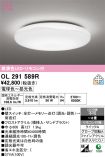 OL291589R