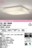 OL291593R