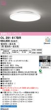 OL291617BR