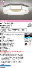 OL291657BR1