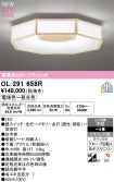 OL291658R