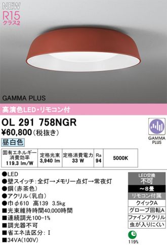 OL291758NGR