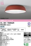 OL291759NGR