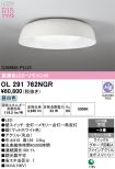 OL291762NGR