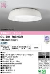 OL291763NGR