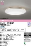 OL291771NGR