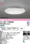OL291775NGR