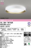 OL291787GR