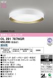 OL291787NGR
