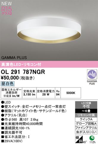 OL291787NGR