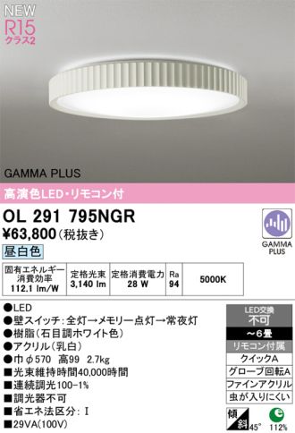 OL291795NGR