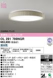 OL291799NGR