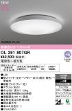 OL291807GR