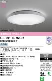 OL291807NGR