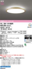 OL291810BR