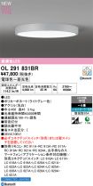 OL291831BR