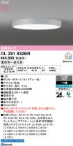 OL291832BR