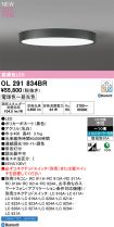 OL291834BR