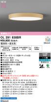 OL291838BR