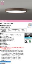 OL291842BR