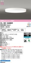 OL291846BR