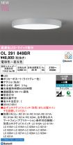 OL291849BR