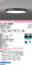 OL291852BR