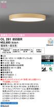 OL291855BR