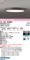 OL291858BR