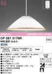 OP087317NR