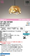 OP252907BR