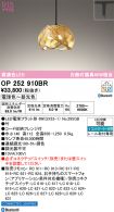 OP252910BR