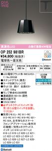 OP252981BR