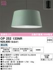 OP252133NR